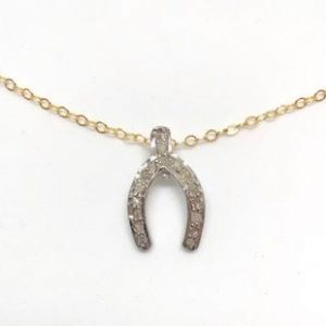 Dainty Pave Horseshoe Necklace